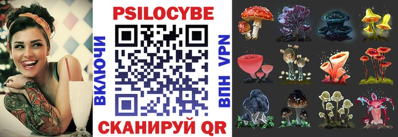 Псилоцибиновые грибы Psilocybe  Лодейное Поле 