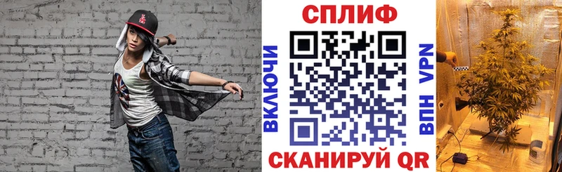 Конопля план Лодейное Поле